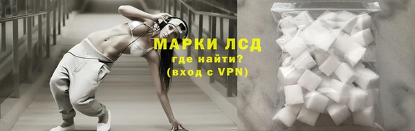 СК Корсаков