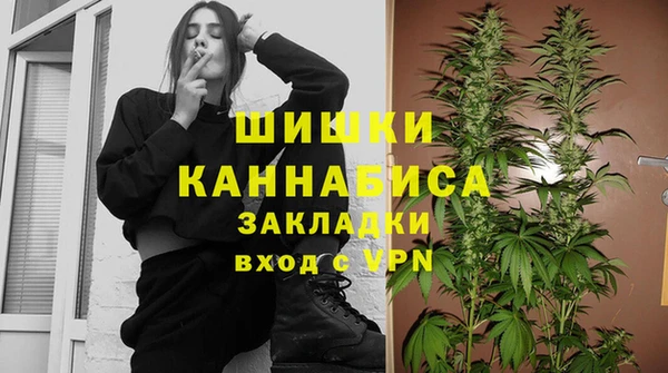 ПСИЛОЦИБИНОВЫЕ ГРИБЫ Козельск