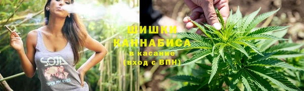 мдпв Козловка