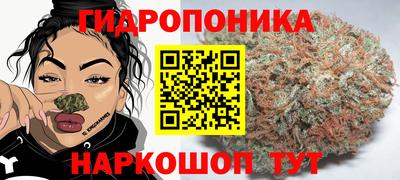 гашик Донецк