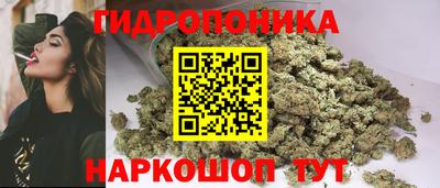 гашик Донецк