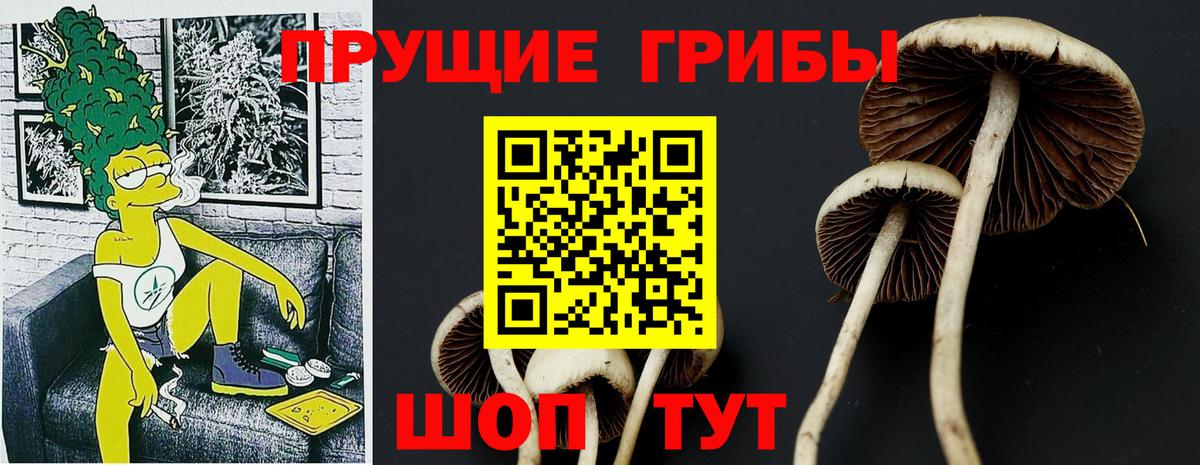 Галлюциногенные грибы Cubensis  Псилоцибиновые грибы Magic Shrooms  Луховицы  Вход с VPN 